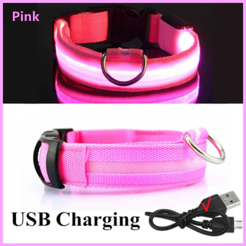 NanaGlow Collar – Bright, safe, and stylish night walks -14