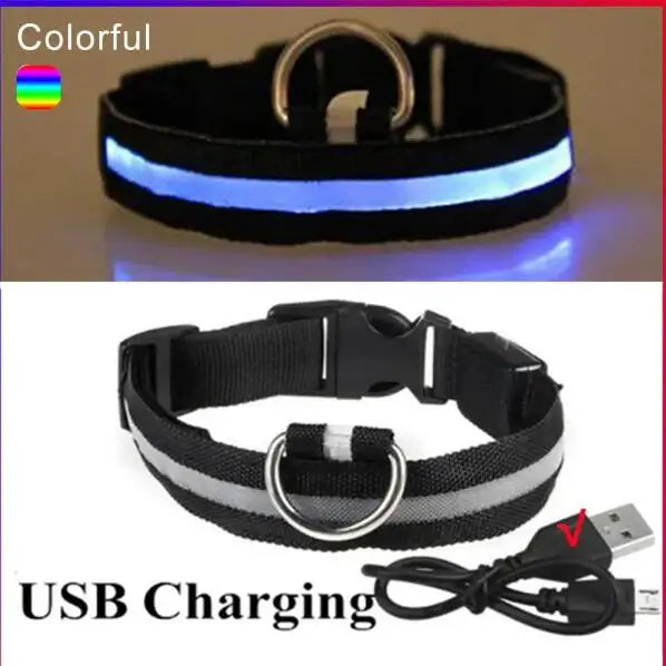 NanaGlow Collar – Bright, safe, and stylish night walks -16