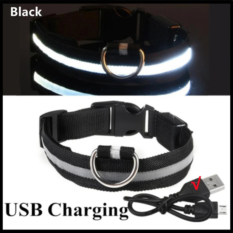 NanaGlow Collar – Bright, safe, and stylish night walks -20