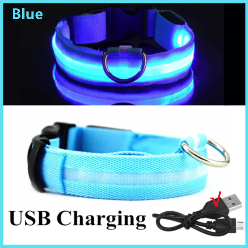 NanaGlow Collar – Bright, safe, and stylish night walks -15