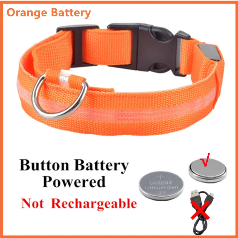 NanaGlow Collar – Bright, safe, and stylish night walks -19