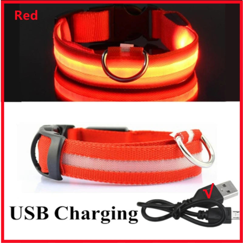 NanaGlow Collar – Bright, safe, and stylish night walks -13