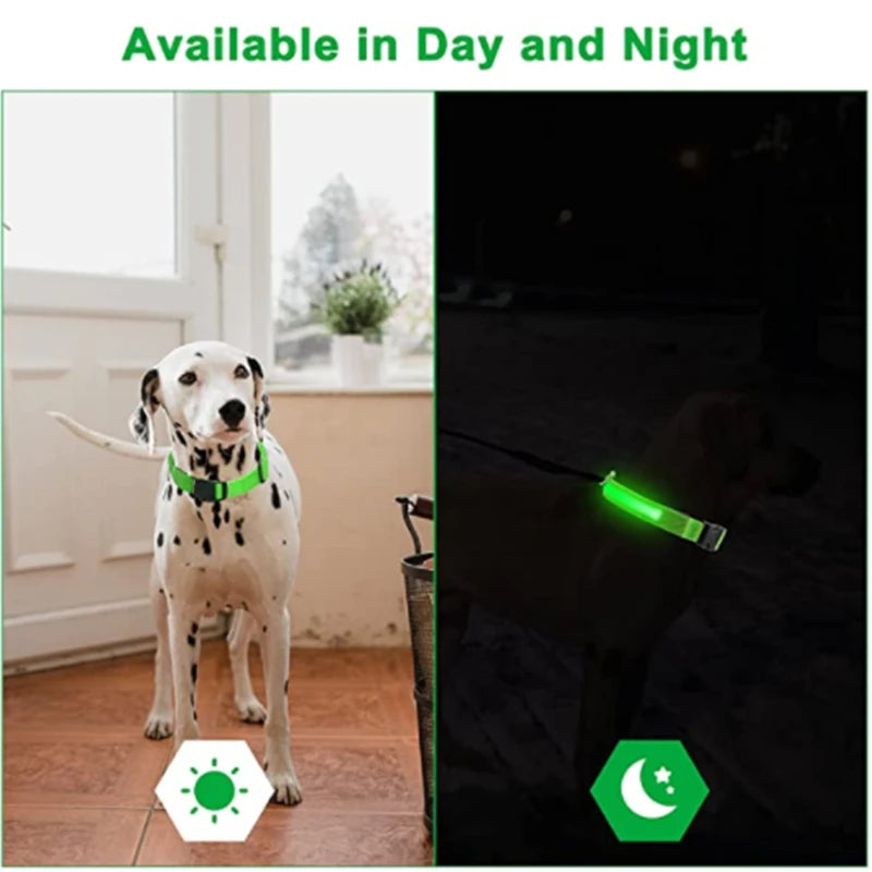 NanaGlow Collar – Bright, safe, and stylish night walks -3