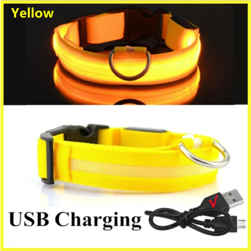 NanaGlow Collar – Bright, safe, and stylish night walks -11
