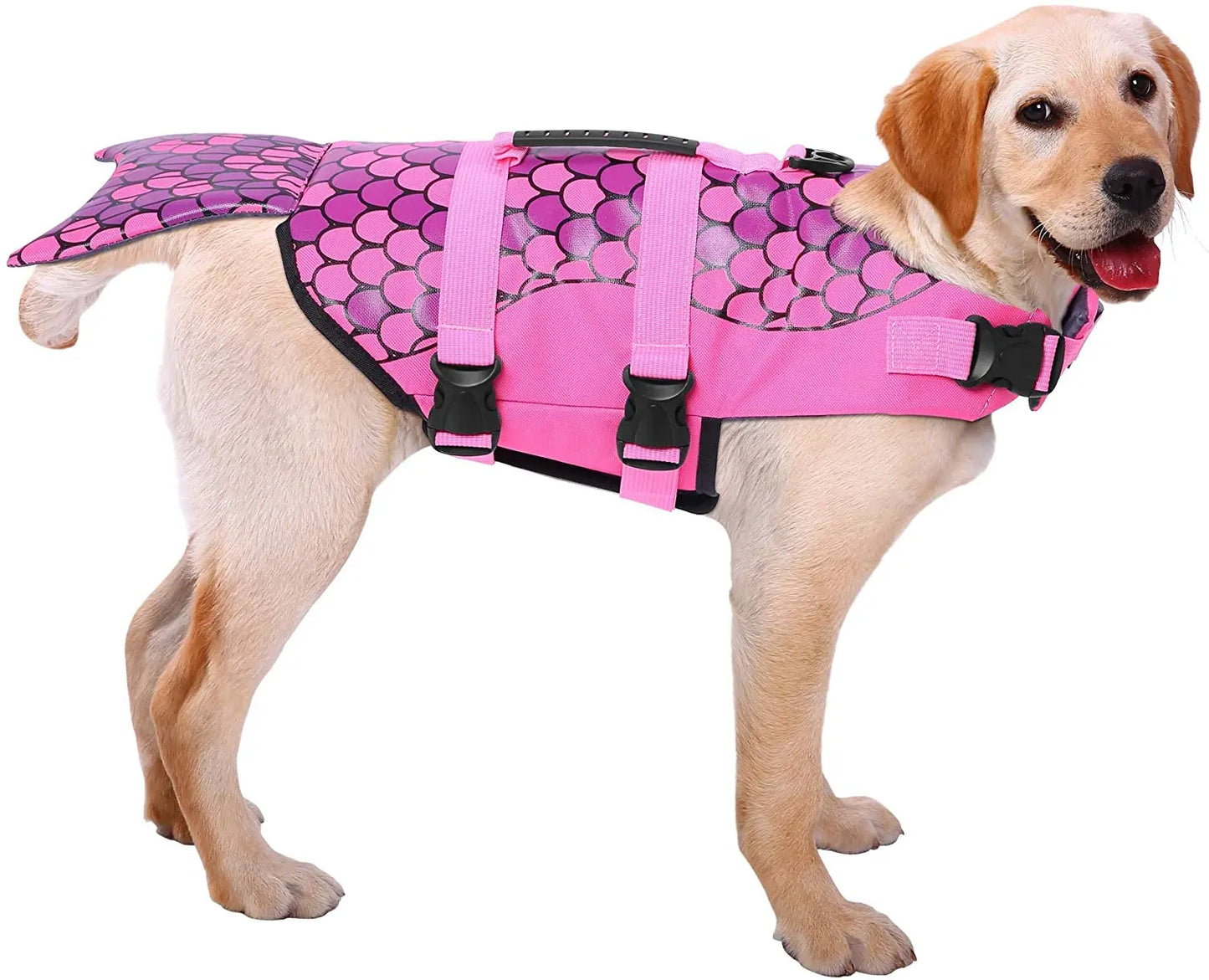 NanaTough SplashGuard Life Jacket – Stylish & Safe Dog Vest-3