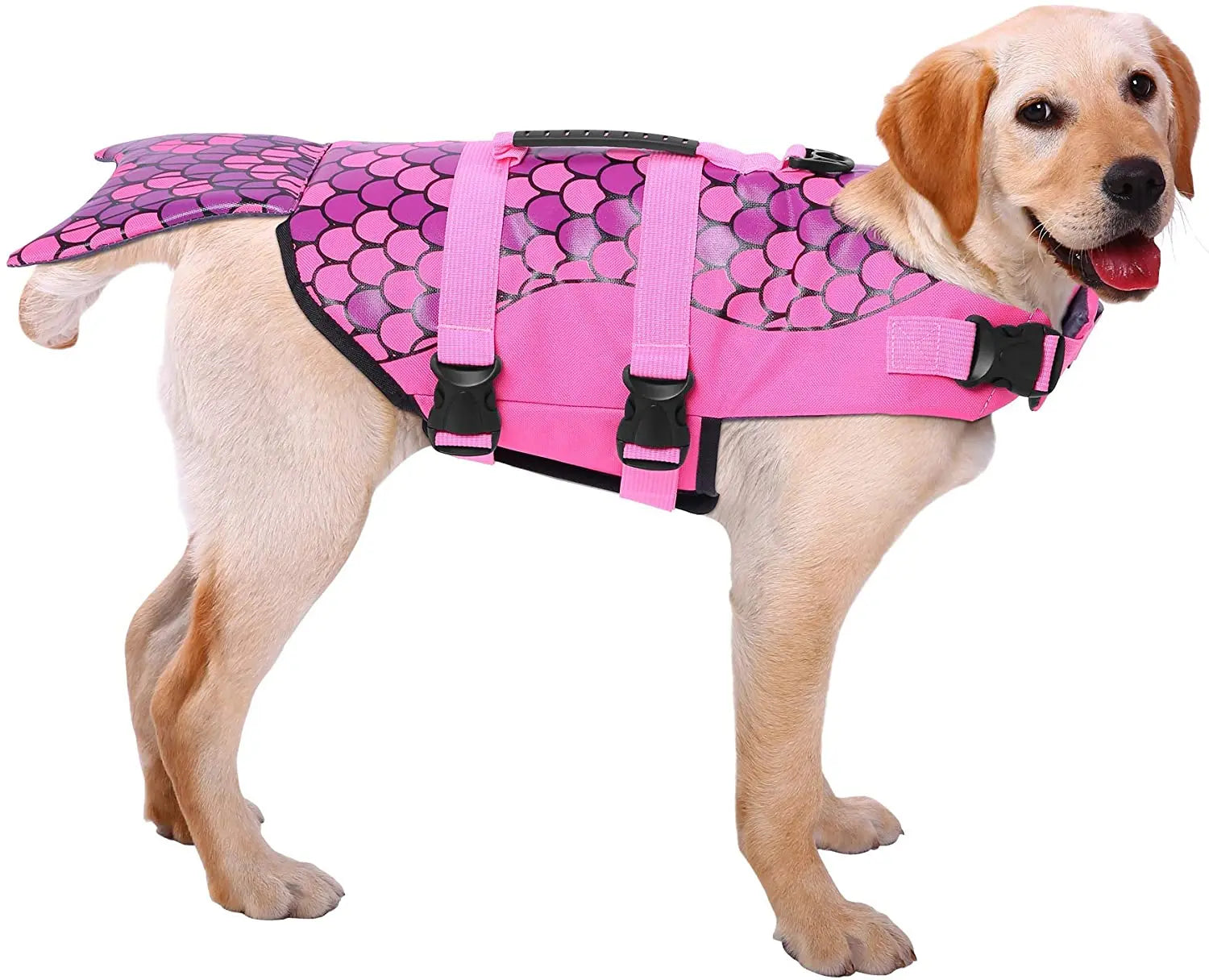 NanaTough SplashGuard Life Jacket – Stylish & Safe Dog Vest-3