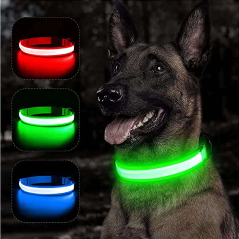 NanaGlow Collar – Bright, safe, and stylish night walks -0