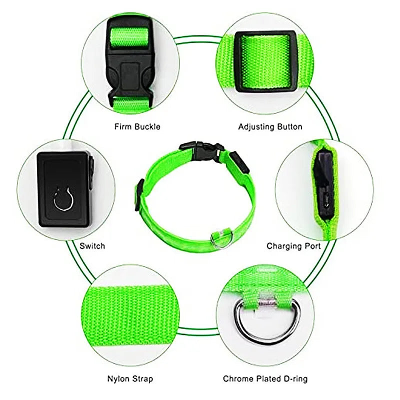 NanaGlow Collar – Bright, safe, and stylish night walks -5