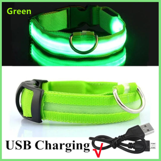 NanaGlow Collar – Bright, safe, and stylish night walks -10