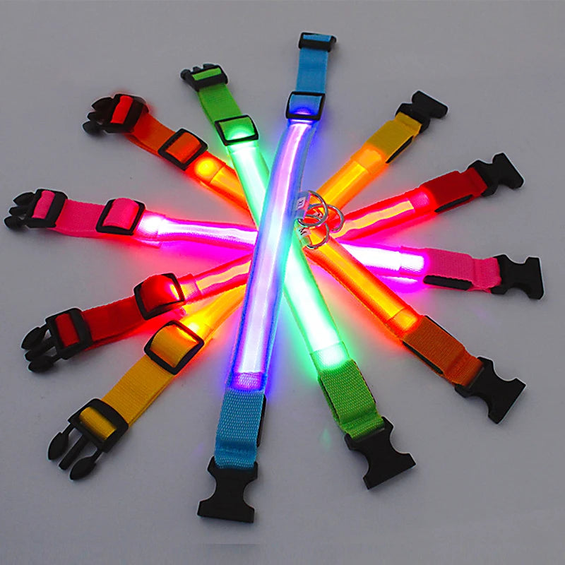 NanaGlow Collar – Bright, safe, and stylish night walks -4