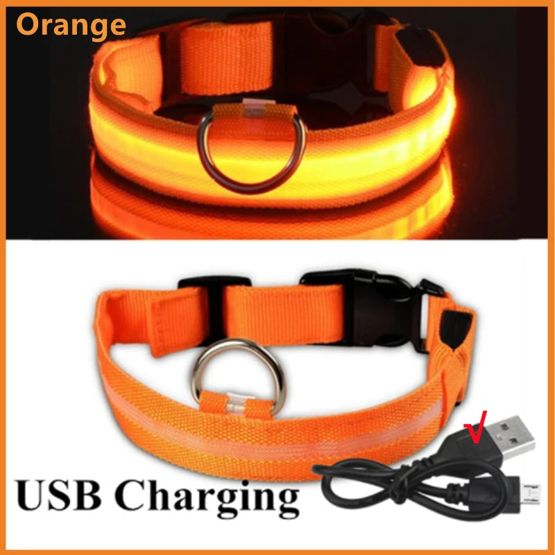 NanaGlow Collar – Bright, safe, and stylish night walks -12