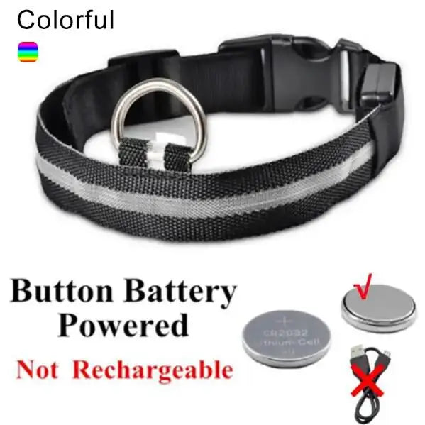 NanaGlow Collar – Bright, safe, and stylish night walks -17