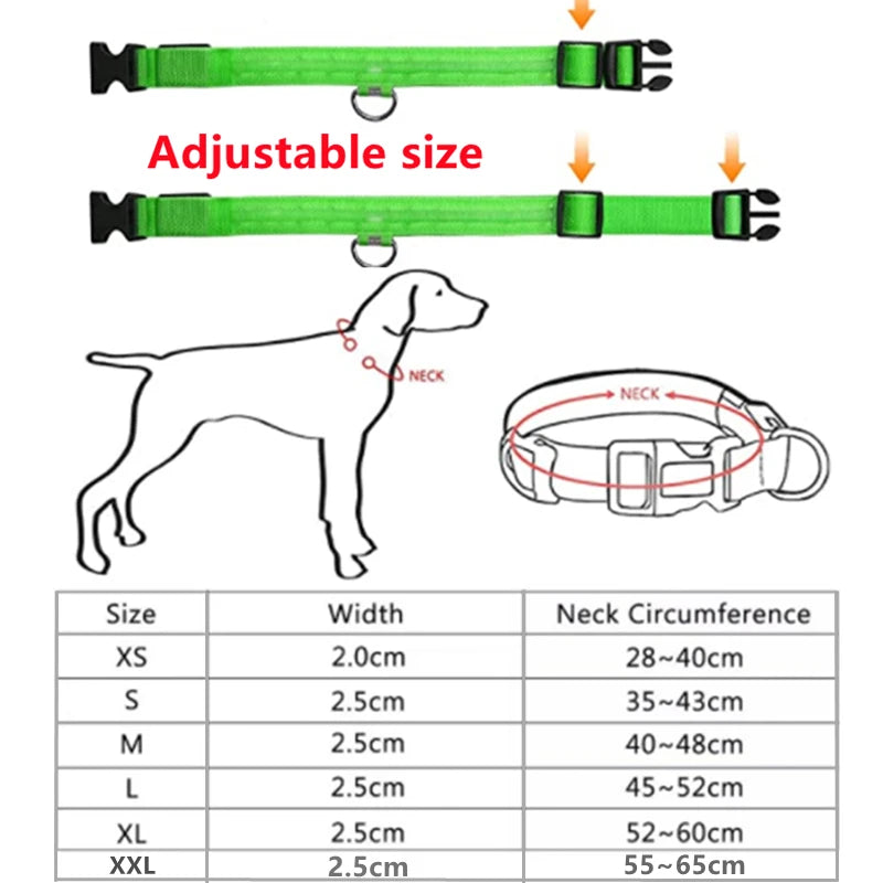NanaGlow Collar – Bright, safe, and stylish night walks -1